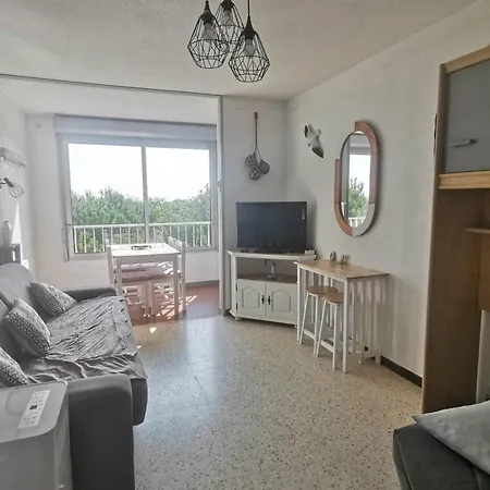 Climatise Au Cap D'agde - 4 Pers. - Fr-1-880-20 아그