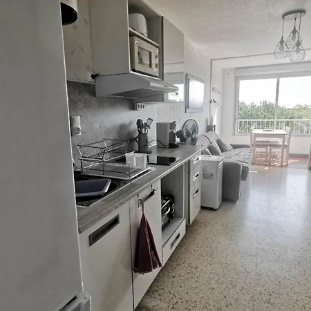 Climatise Au Cap D'agde - 4 Pers. - Fr-1-880-20 아그
